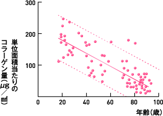 コラーゲンは減少していく