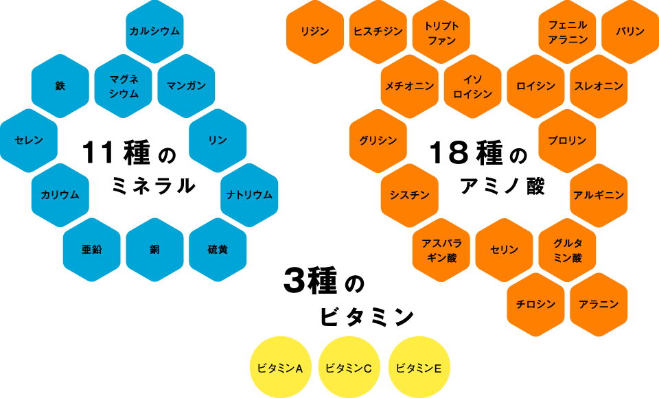 コンプリートセットに配合される11種のミネラル・18種のアミノ酸