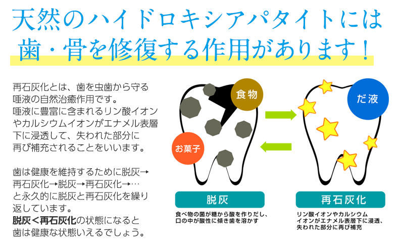 天然のハイドロキシアパタイトには 歯・骨を修復する作用があります!