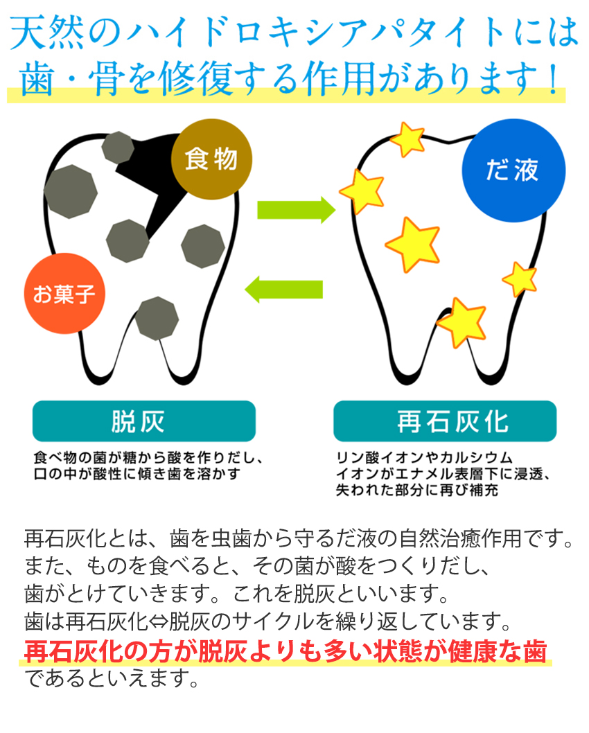 天然のハイドロキシアパタイトには歯・骨を修復する作用があります!