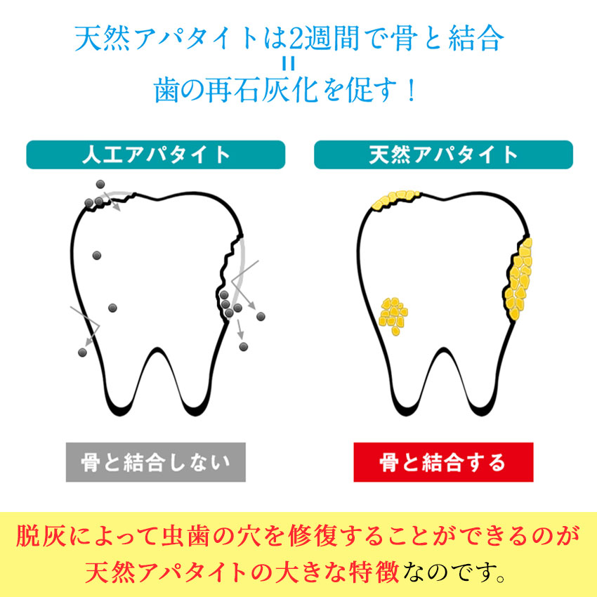 天然アパタイトは２週間で骨と結合　歯の再石灰化を促す！
